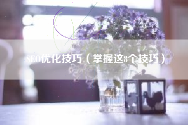 SEO优化技巧（掌握这8个技巧）