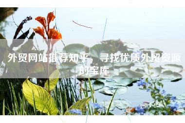 外贸网站推荐知乎，寻找优质外贸资源的宝库
