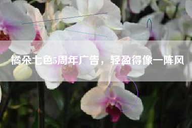 橘朵七色5周年广告，轻盈得像一阵风