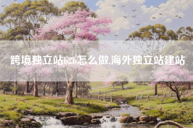 跨境独立站b2b怎么做,海外独立站建站