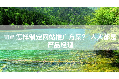 TOP 怎样制定网站推广方案？ 人人都是产品经理