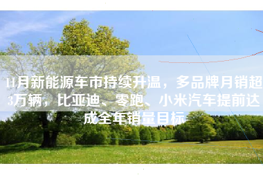 11月新能源车市持续升温，多品牌月销超3万辆，比亚迪、零跑、小米汽车提前达成全年销量目标
