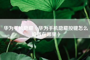 华为手机隐藏（华为手机隐藏按键怎么设置在哪里）