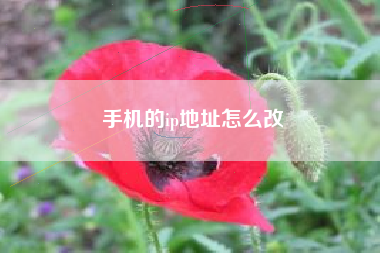 手机的ip地址怎么改