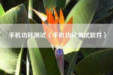 手机功耗测试（手机功耗测试软件）