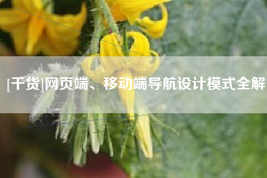 [干货]网页端、移动端导航设计模式全解