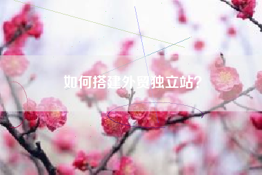 如何搭建外贸独立站？
